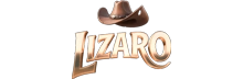 lizaro logo
